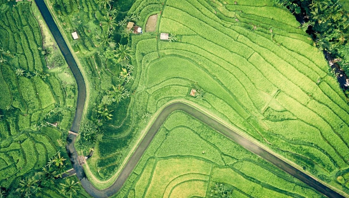 Closing the SDG Financing Gap in ASEAN: A Sustainable Finance Guide for Corporates